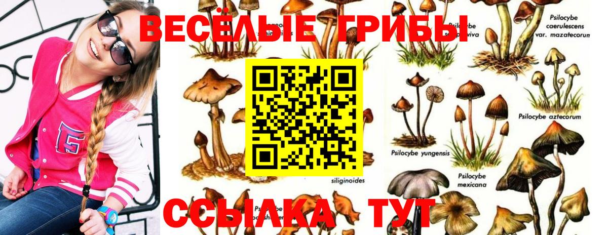 где купить наркоту  Галлюциногенные грибы ЛСД  Вход с VPN  Нижний Тагил 